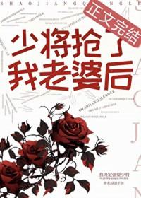 少将抢了我老婆后txt百度